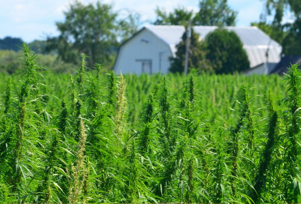 Hemp Farming Act Of 2018