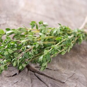 The Comprehensive Guide to the Benefits of Thyme Supplements