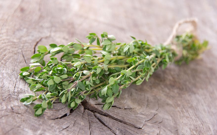 The Comprehensive Guide to the Benefits of Thyme Supplements